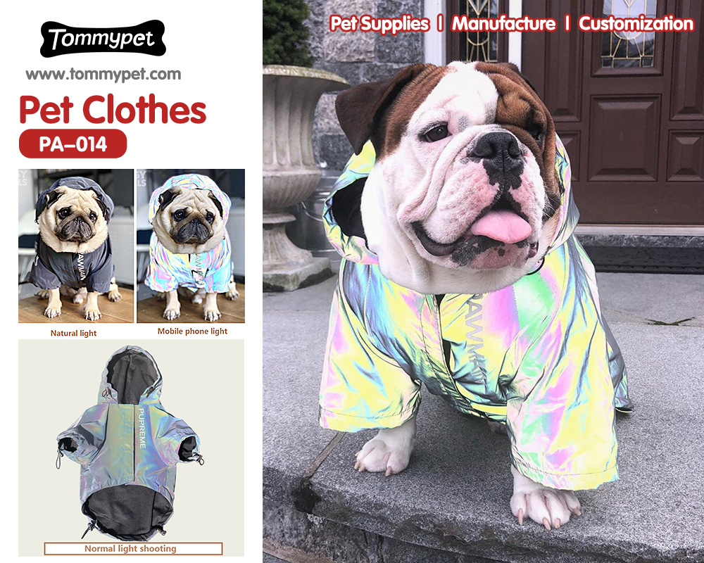 الحصول على أفضل منتجات ملابس الكلاب من موردي ملابس الحيوانات الأليفة والمصنعين في الصين