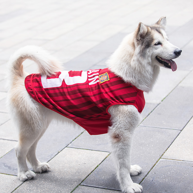 5xl 6xl 7xl الصين بالجملة الحيوانات الأليفة كرة السلة الرياضة المنتخب الوطني كأس العالم مصمم ملابس كلب كبير كبير