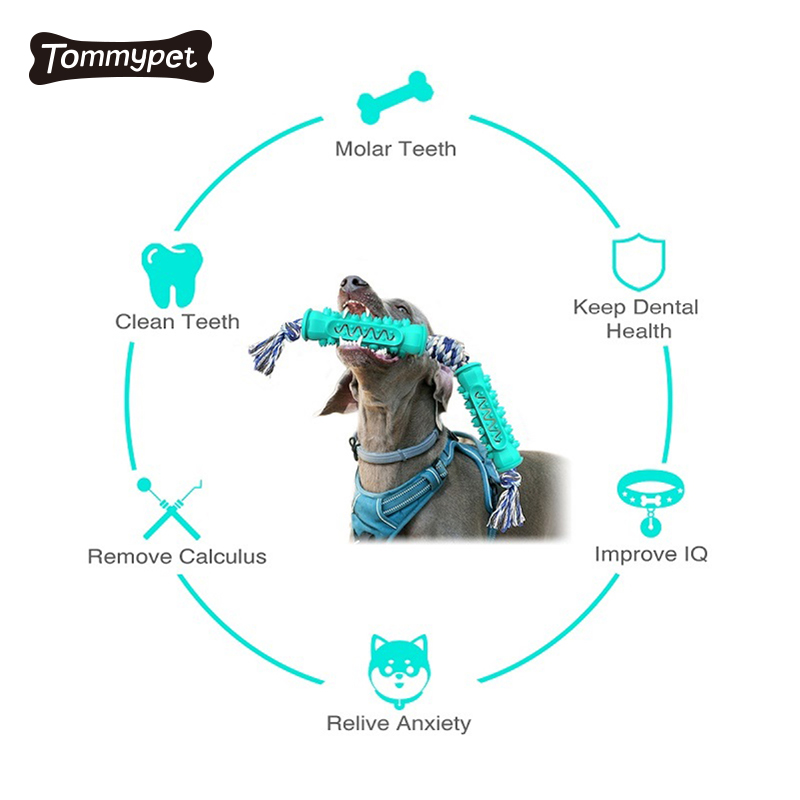 2021 الكلب العناية بالأسنان فرشاة أسنان عصا فعالة هزلي تنظيف الأسنان مدلك غير سام طبيعي للكلاب ألعاب مضغ المطاط