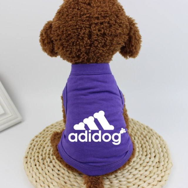 2021 الكلب هوديي الشتاء الفاخرة الكلب الملابس الكلب تي شيرت الحيوانات الأليفة أرنب الملابس Adidog لفصل الصيف