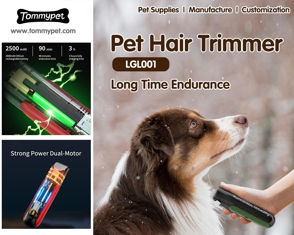 Tommypet أفضل المهنية فراغ الكلب الشعر الاستمالة كليبرز وكيفية العناية بها
