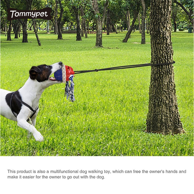 Amazon Best Sale Bite Resistant Color Training Pile Dog Chew Toy Toothbrush Silicone الأسنان Clean Stick مخصص للحيوانات الأليفة اللعب