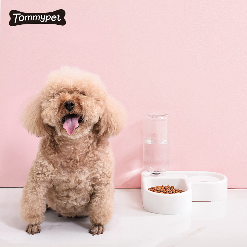 دروبشيبينغ وعاء شرب أوتوماتيكي للكلاب غير مبلل بالفم وحوض ماء للقطط ومقاوم لرذاذ الحيوانات الأليفة