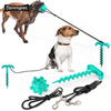 Amazon بالجملة Stake Stake Elasticity Chain Natural Rubber Spike Ball كلب مضغ لعبة للتخييم الفناء الخلفي